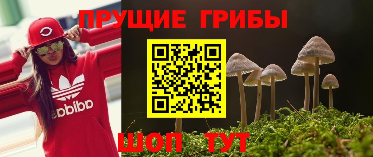 Галлюциногенные грибы Cubensis  Вход с VPN  Волгодонск 