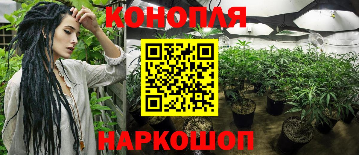 Бошки Шишки планчик  Бошки Шишки ГИДРОПОН  Каннабис семена  Вход с VPN  Волгодонск  Бошки марихуана план 